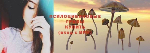 гашишное масло Гусев