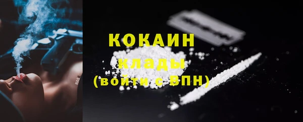 крисы Гусь-Хрустальный