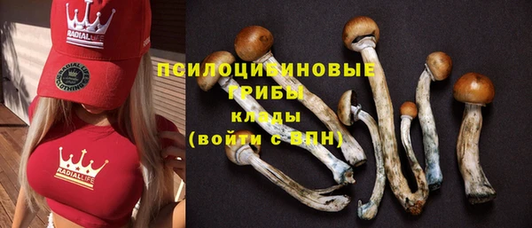 мескалин Гусиноозёрск