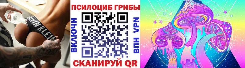 Галлюциногенные грибы прущие грибы  Купить  Шали 